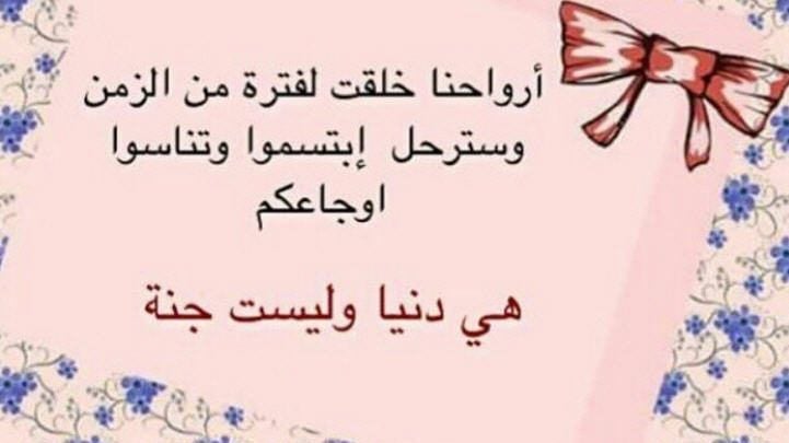 حالات واتس اب حكم وامثال