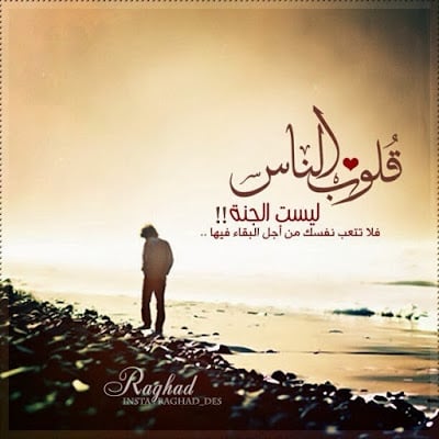 حالات واتس اب حكم وامثال