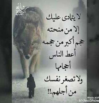 حالات واتس اب حكم وامثال