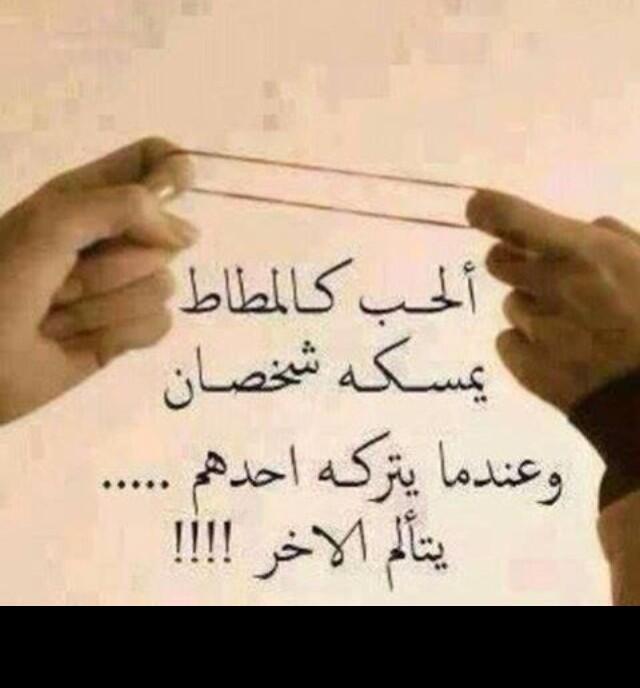 حالات واتس اب حكم وامثال