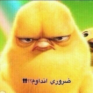 حالات واتس اب مضحكة بالصور
