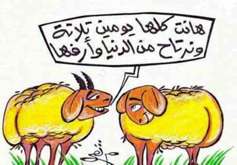حالات واتس اب مضحكة عن المدرسة