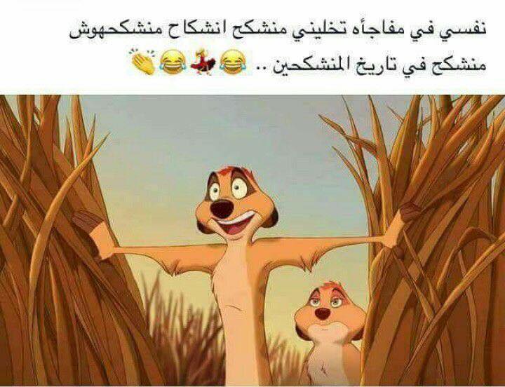 حالات واتس اب مضحكة كتابة