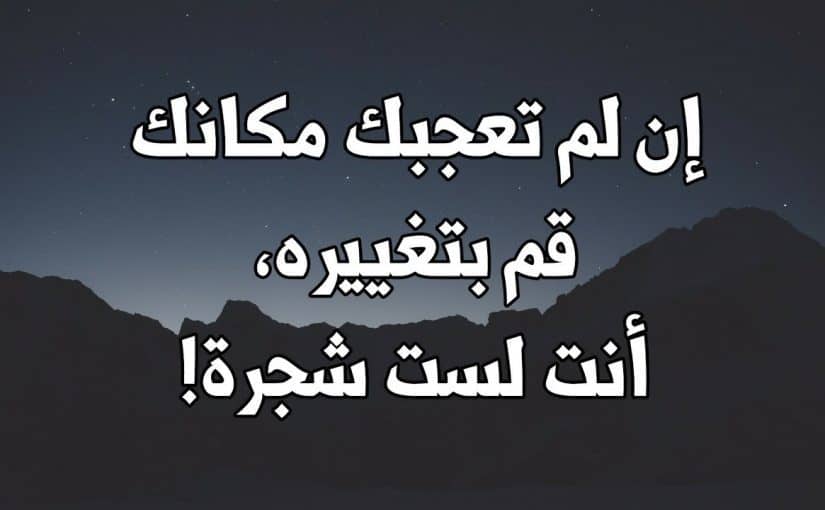 حكم فلسفية