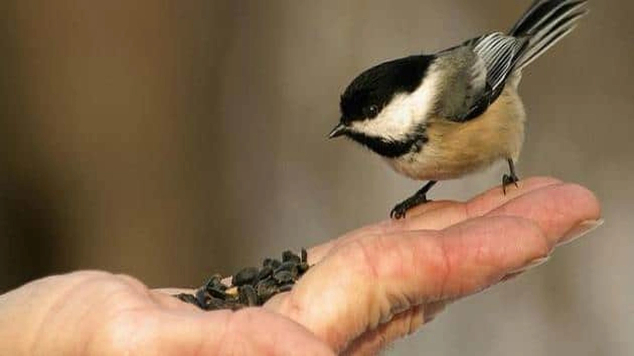 صورة حكم وأقوال عن الخير والشَّرُ