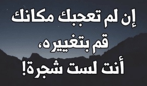 حكم واقوال مأثورة عن الحياة