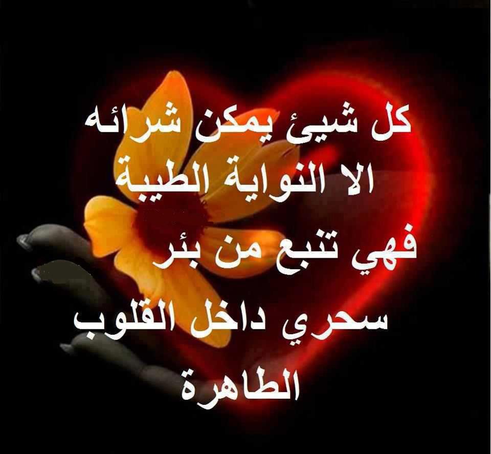 حكم وامثال شعبية