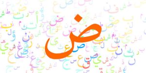 حل كتاب لغتي رابع الفصل الاول