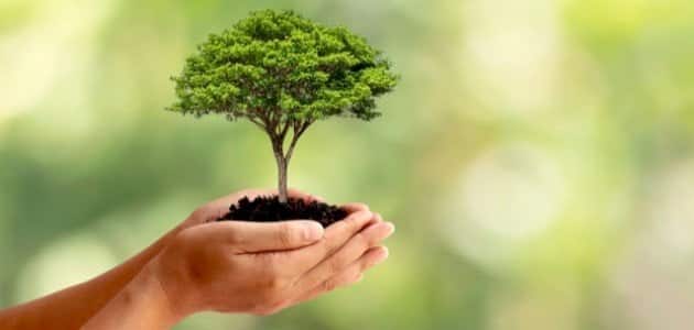 خطبة محفلية عن اسبوع الشجرة