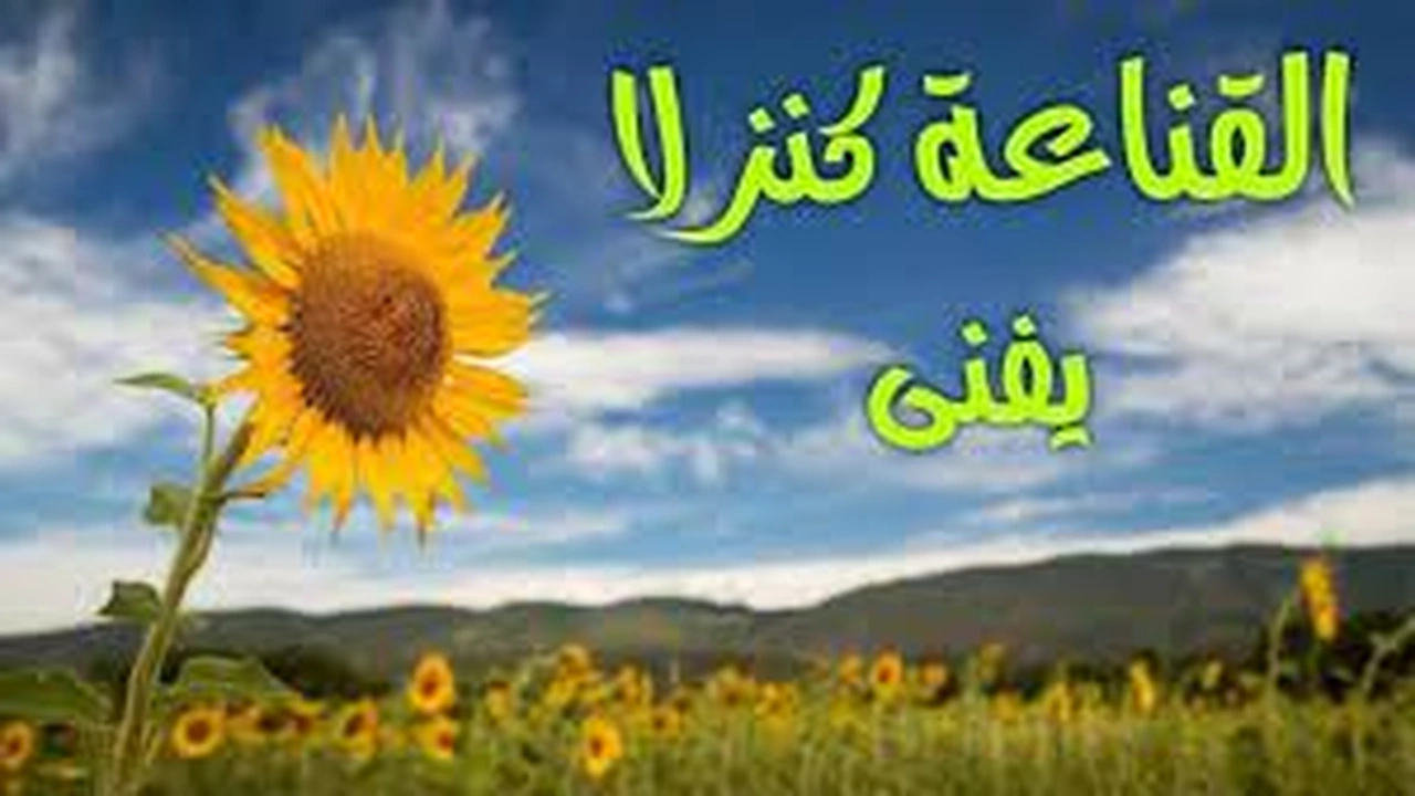 صورة خطبة محفلية عن القناعة