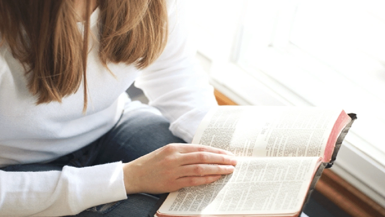 صورة خطوات القراءة المنهجية