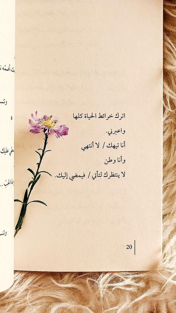 خواطر حب وعشق