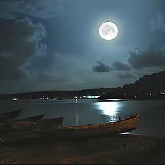 خواطر عن البحر تويتر