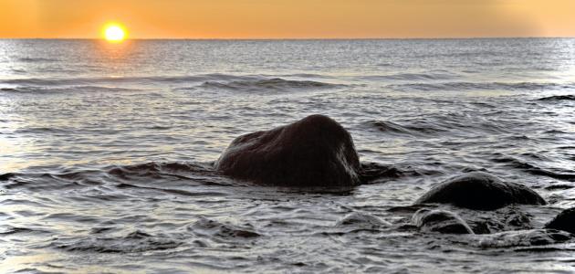 خواطر عن البحر تويتر