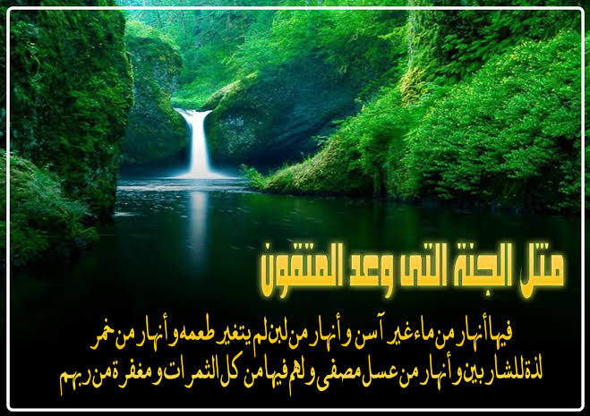 خواطر عن الجنة