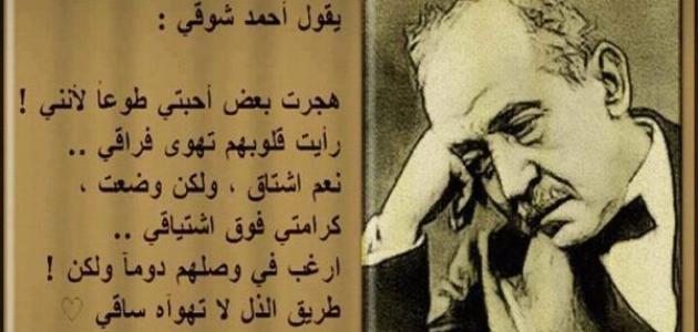 خواطر عن الدنيا والناس