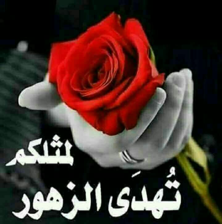 خواطر عن الزهور