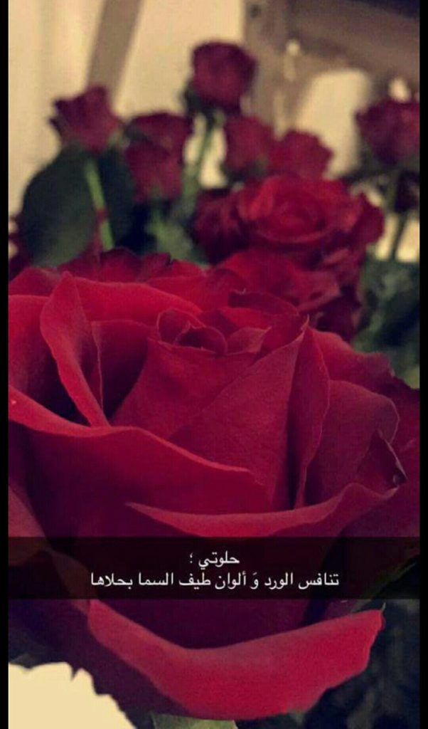 خواطر عن الزهور