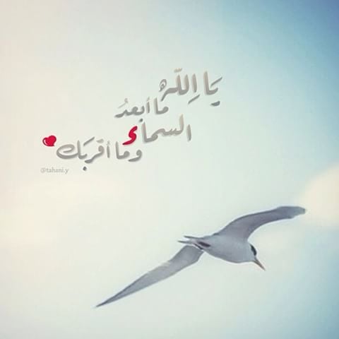 خواطر عن السماء