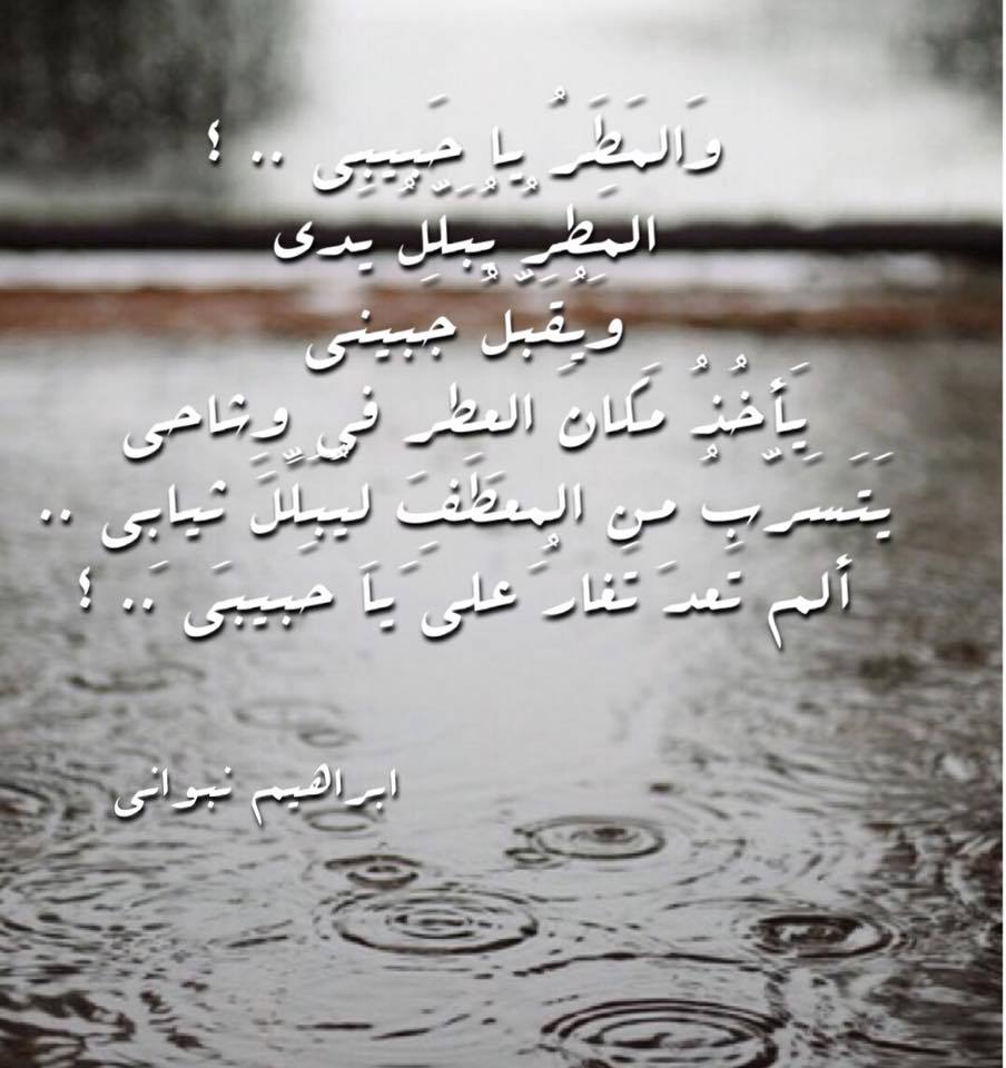 خواطر عن الشتاء والحب