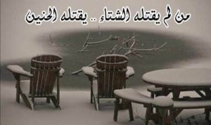 خواطر عن الشتاء والحب