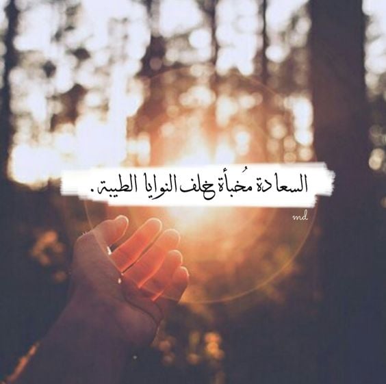 خواطر عن الفرح