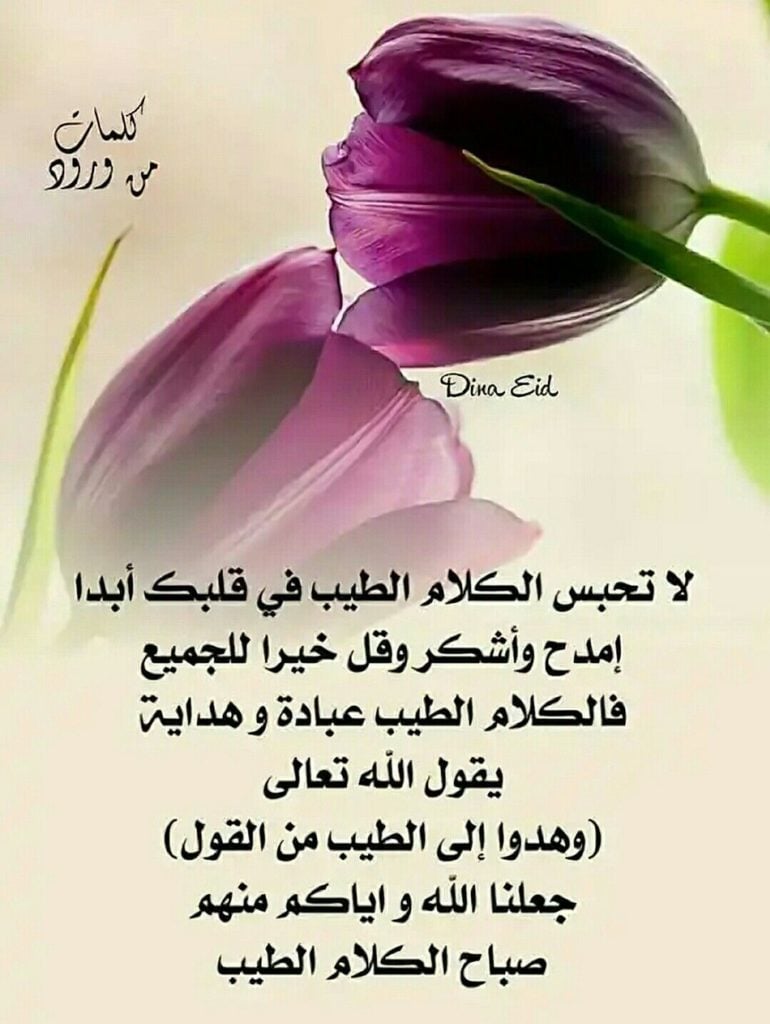 خواطر عن الكلمة الطيبة