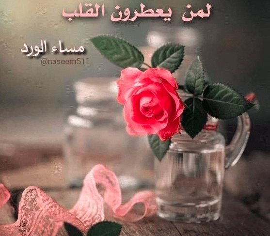 خواطر مساء الخير للأصدقاء