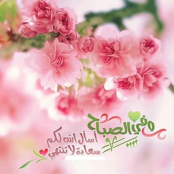 دعاء الصباح للحبيبة