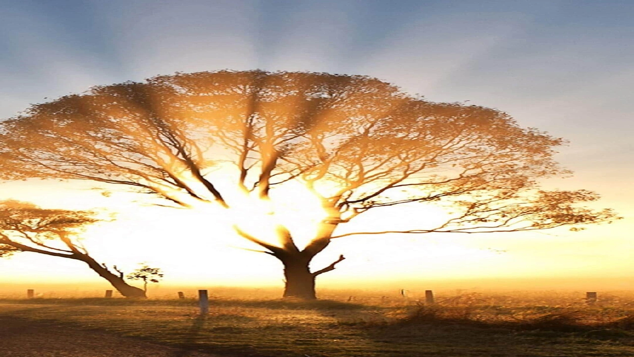 صورة دعاء النور الكبير