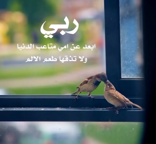 دعاء لشفاء الوالدة