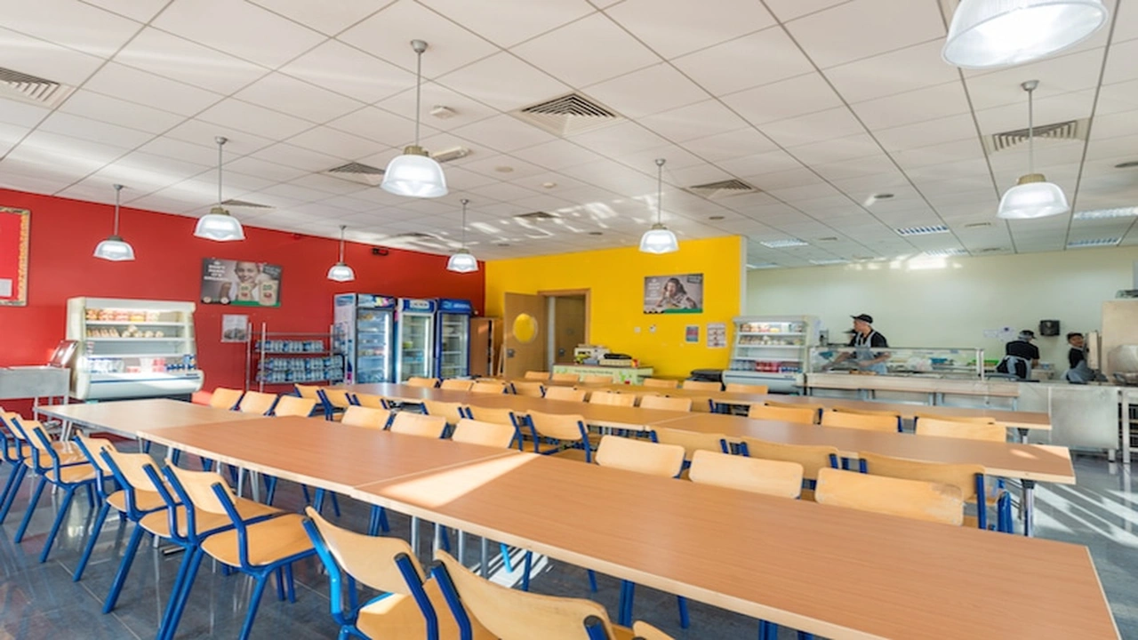 صورة دليل المدارس الحكومية في العين