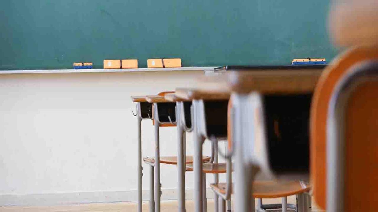 صورة دليل المدارس الحكومية في دبي