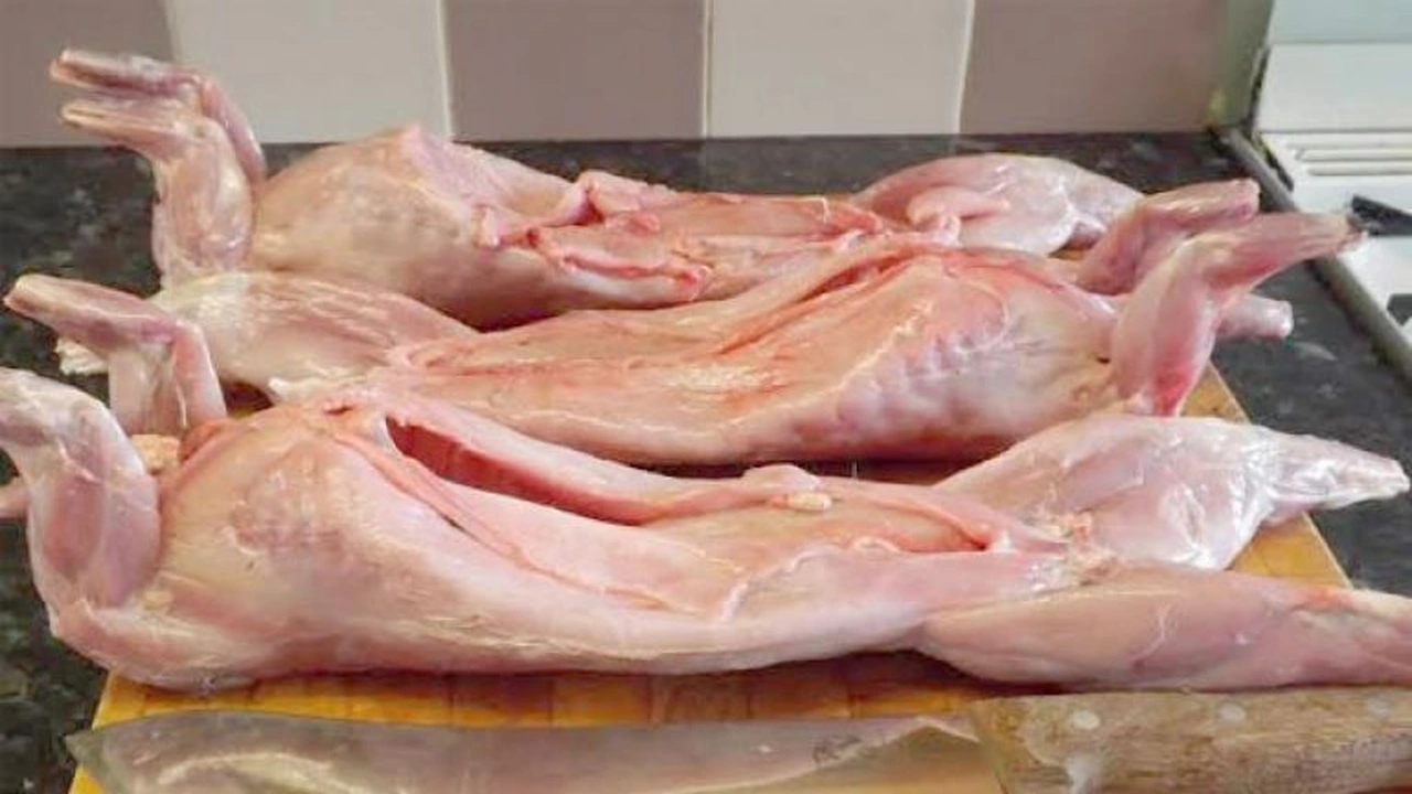 صورة رايكم في لحم السواكني