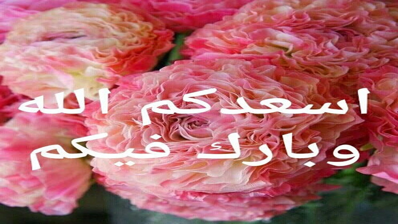 صورة رد على بوركت