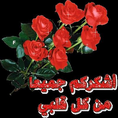رد على تهنئة مولود