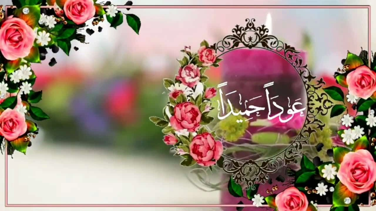 صورة رد على جملة عودا حميدا