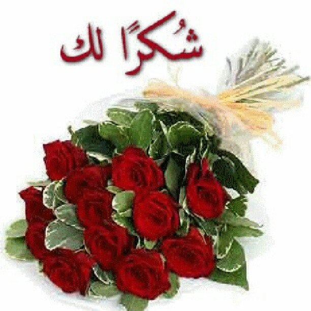 رد على حاضر