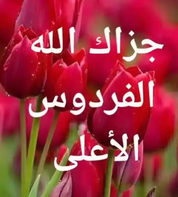 رد على حي ذا العين