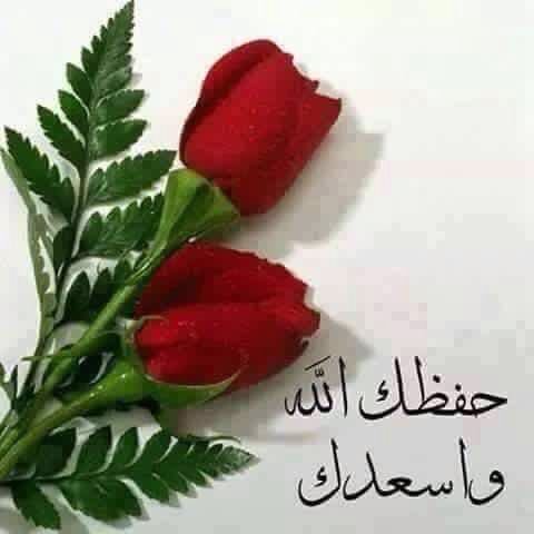 رد على حي ذا العين