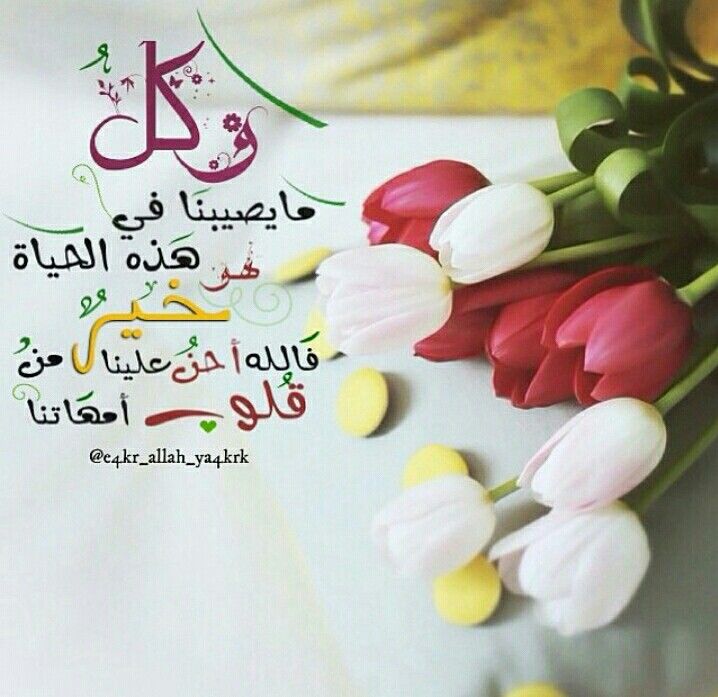 رد على خير ان شاء الله