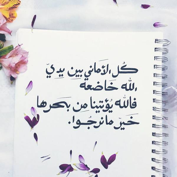 رد على خير ان شاء الله