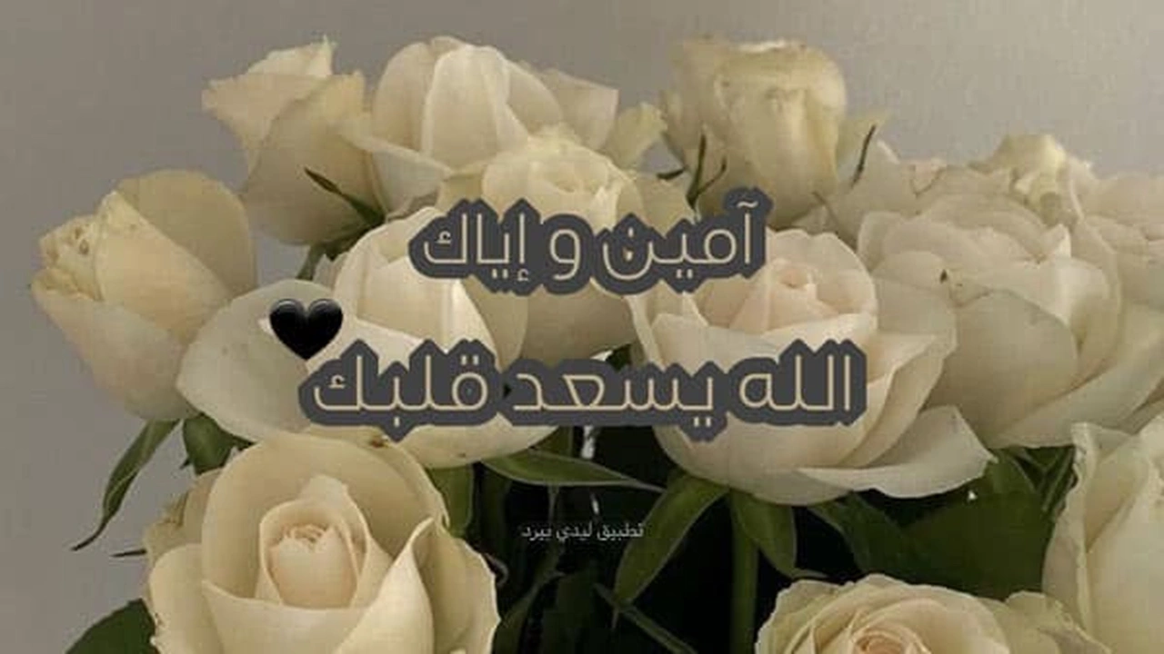 صورة رد على ربي يوفقك