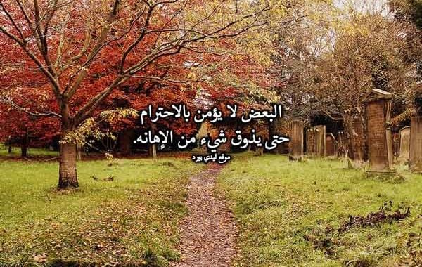 رد على شخص حقير