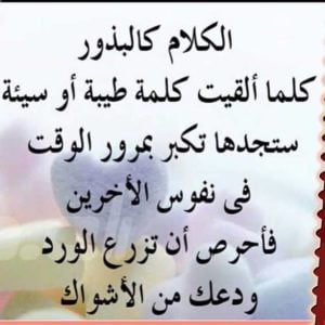 رد على شخص يقول انت لست من مستواي