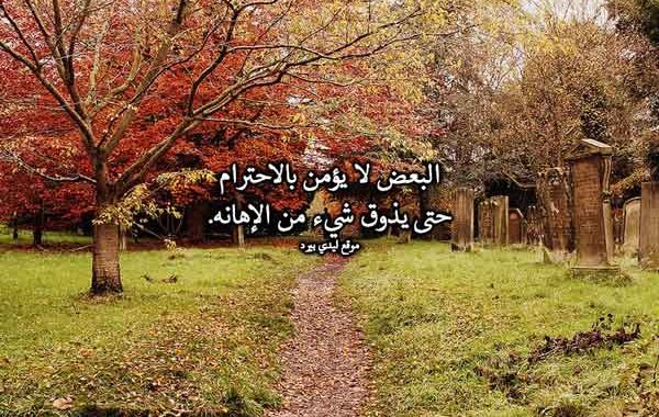رد على شخص يقول انت لست من مستواي