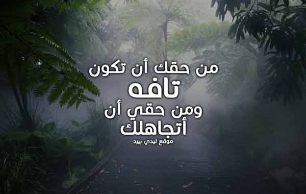 رد على شخص يقول انت لست من مستواي