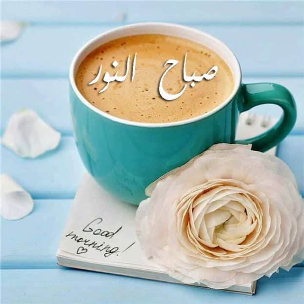 رد على صباح النور