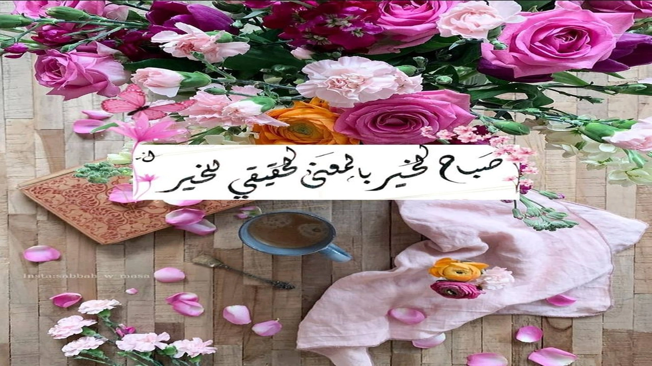 صورة رد على صباحو