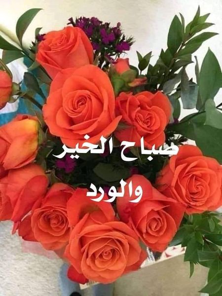 رد على صح النوم